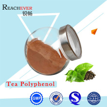 Polyphenols Supplements Green Tea Extract with High Quality